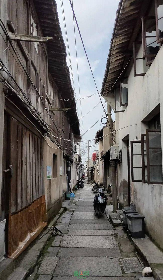 国投中鲁:预计2023年年度净利润减少55.8%到38.1%